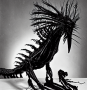 species:a_black_and_white_photograph_of_a_humanoid_bird_like_alien_that_has_be_s1692464811_st30_g11.5.png